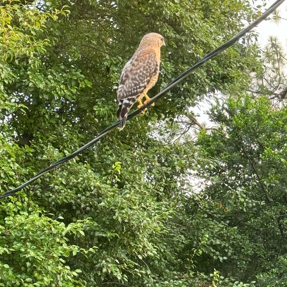 Meet your Posher, Vanessa - Picture 7 of 17